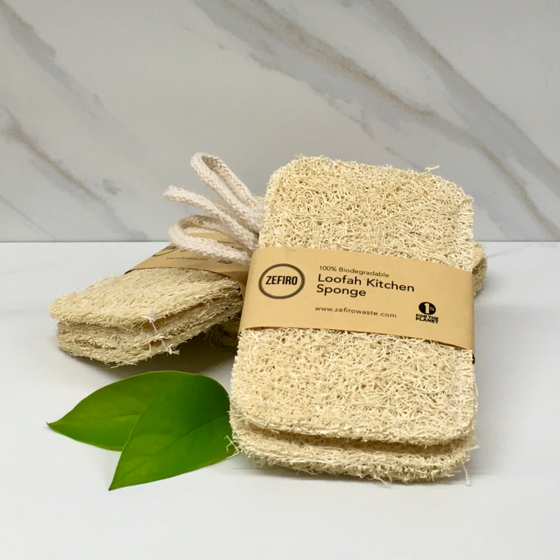 Loofah Kitchen Sponge