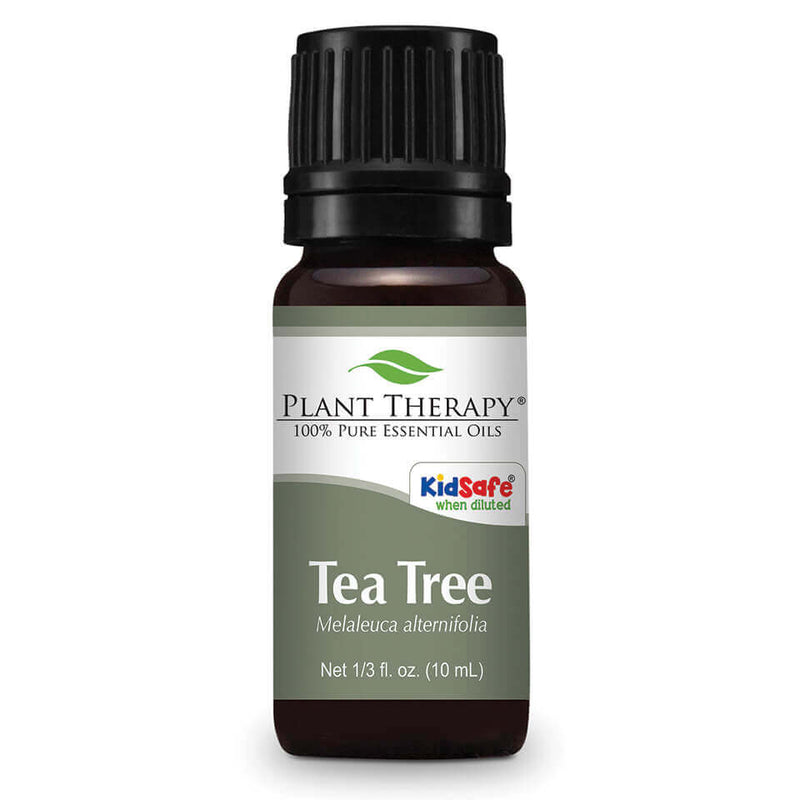 Plant Therapy, Tea Tree