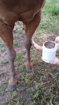 Equine Mud, Performance Cooling Clay - Simply Eden Bath & Body
 - 2