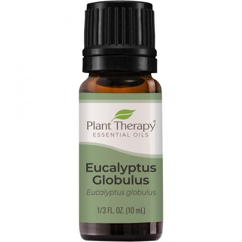 Plant Therapy, Eucalyptus Globulus